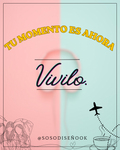 Plantilla Editable VIVILO
